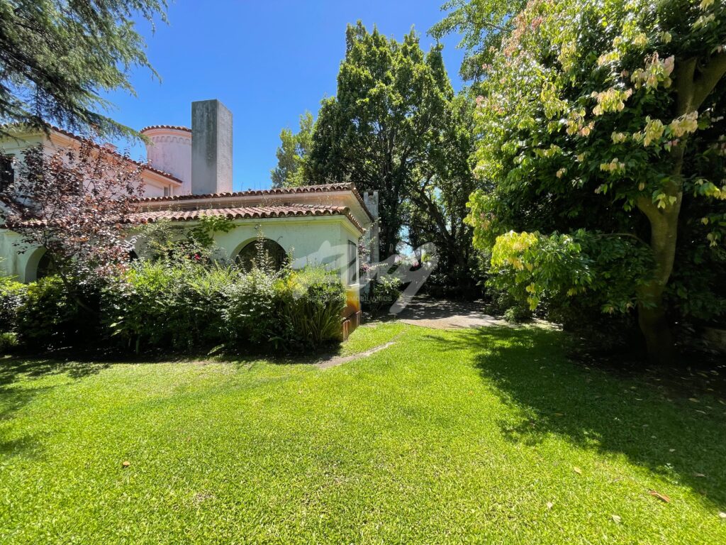 xr:d:DAFUqqix3qg:408,j:8228492398562092672,t:24011813