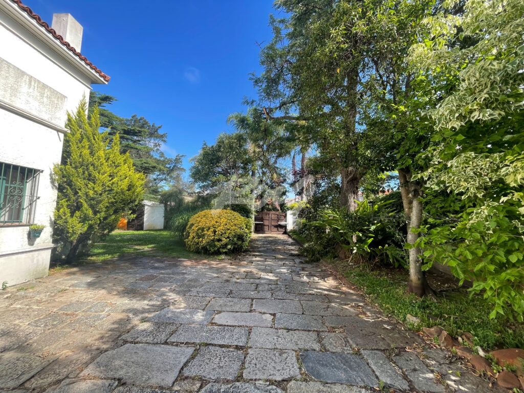 xr:d:DAFUqqix3qg:408,j:8228492398562092672,t:24011813