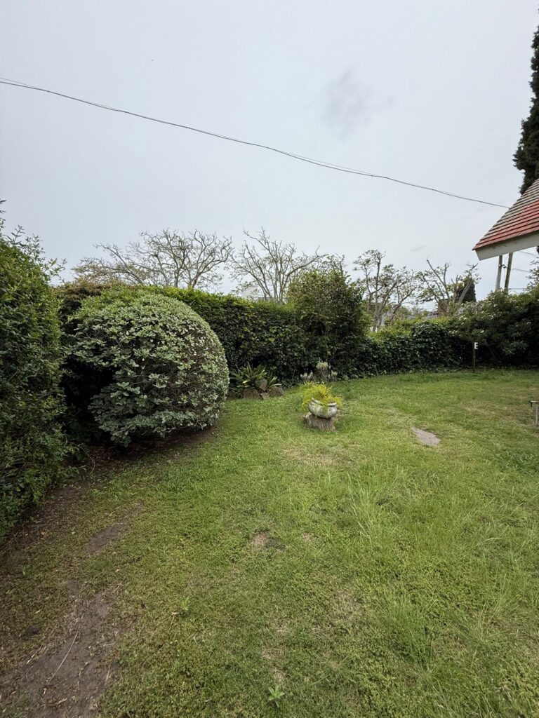 WhatsApp Image 2025-11-07 at 10.44.58 (1)